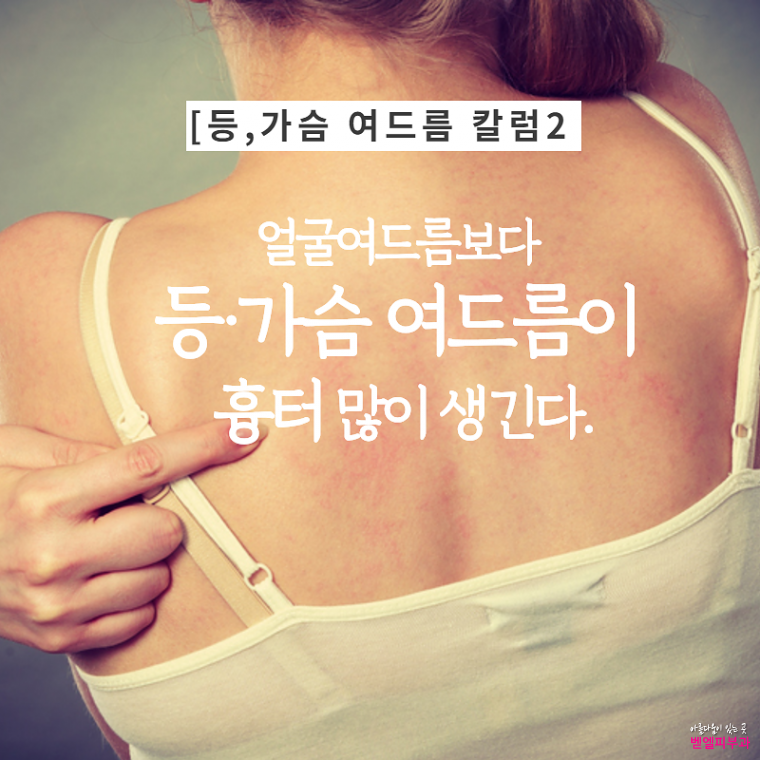 제목을 입력하세요 (3).png