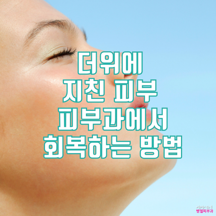 제목을 입력하세요.png