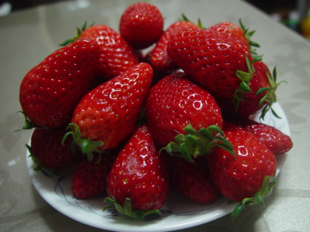 DSC02201.JPG