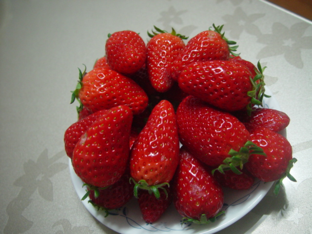 DSC02202.JPG