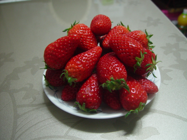 DSC02203.JPG